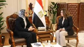 منال عوض توجه برفع درجة الاستعداد في الوادي الجديد لمواجهة الطقس السيئ